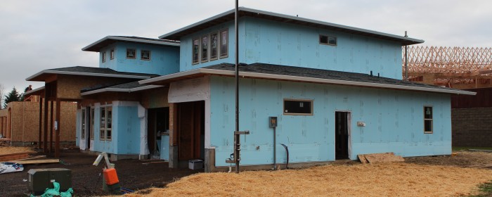 Blue Rigid Foam Board House